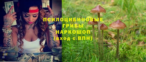 соль ск Алексин