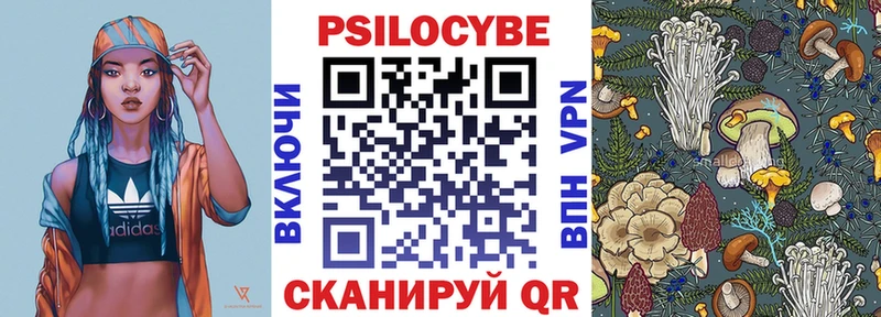Галлюциногенные грибы Psilocybe  сколько стоит  Бавлы 